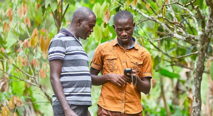 Child Labour Monitoring